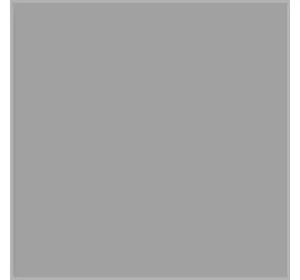Комплект круглих щіток з латунною щетиною Karcher 2.863-061.0