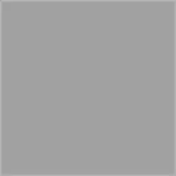 Karcher Насадка для миття вікон (2.863-025.0)
