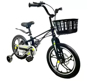 Дитячий велосипед X-Treme MAXIS 25.16-04 Чорний Дитячий велосипед X-Treme MAXIS 25.16-04 Чорний