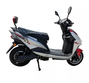 Електроскутер FORTE LEON PRO Сірий Електроскутер FORTE LEON PRO Сірий