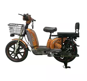 Велоскутер акумуляторний EM 219WS Forte Коричневий Велоскутер акумуляторний EM 219WS Forte Коричневий