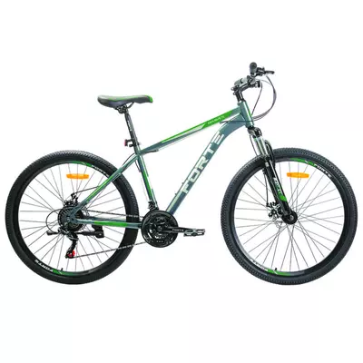 Велосипед Forte Braves 25.2921-28S, к29" р21" зелено-сірий