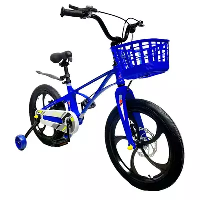 Дитячий велосипед X-Treme MAXIS 25.16-05 Синій