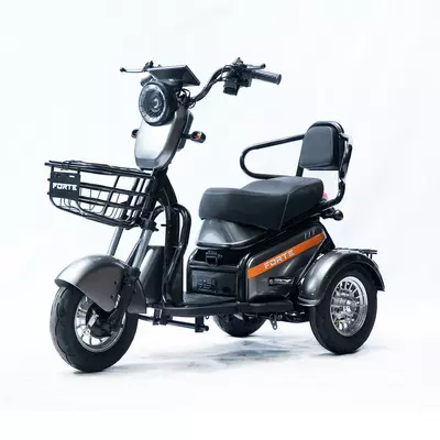 Трицикл акумуляторний Forte S1-P600 Сірий