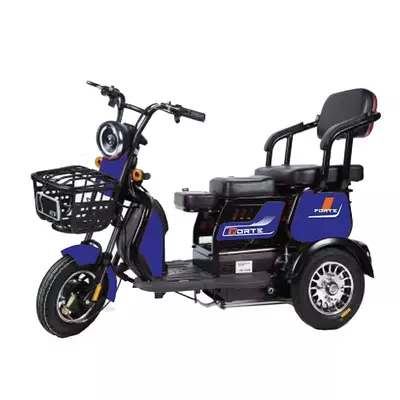 Трицикл акумуляторний Forte FAMILY-WS600 синій